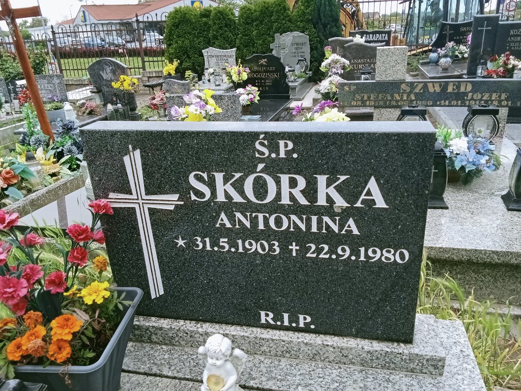 Zdjęcie grobu
