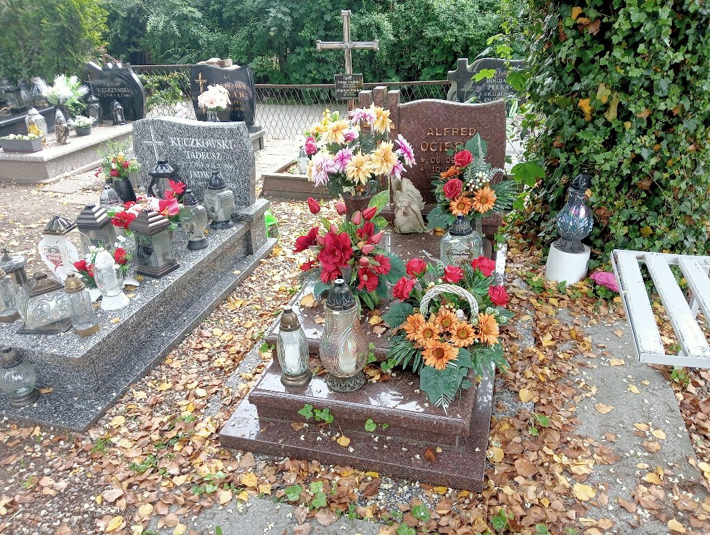 Grób Alfred Ociepka